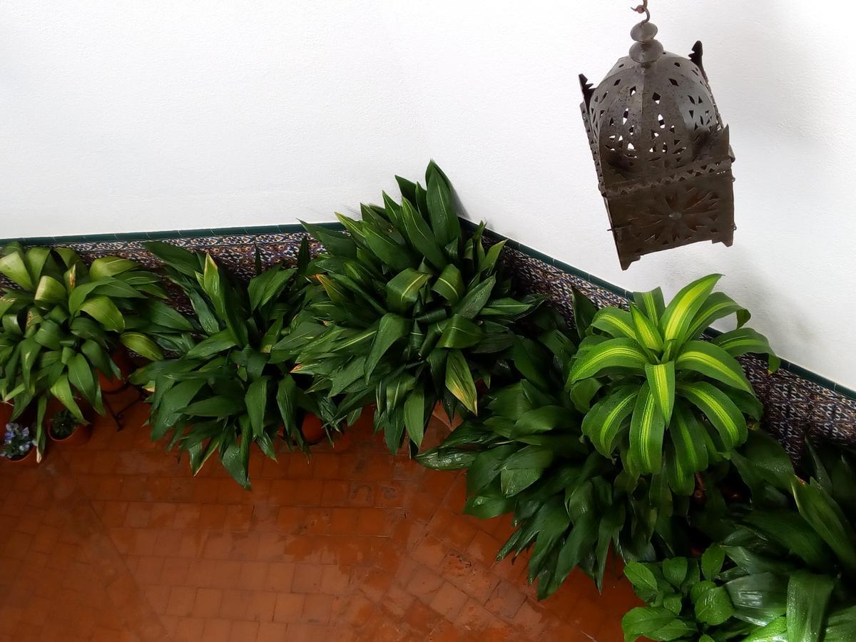 La Posada De Manolo Toledo Zewnętrze zdjęcie